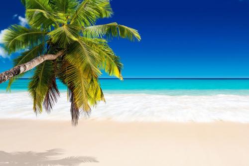 Favoriete vakantiebestemmingen zomer 2024