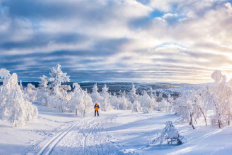 Teaser image for Kajaani, de nieuwste winterbestemming van TUI in Scandinavië